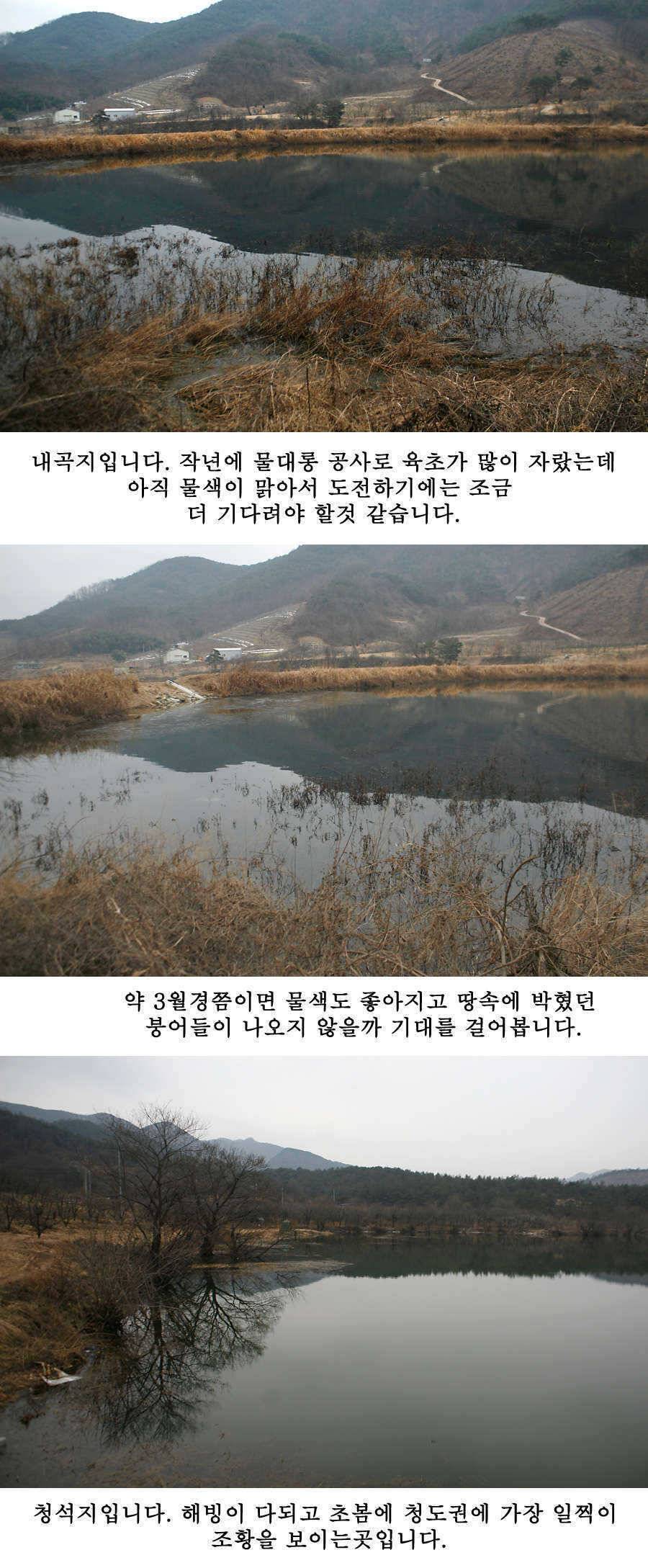 청도권 물낚시 시즌 오픈 (조황조행기 - 특파원조황)
