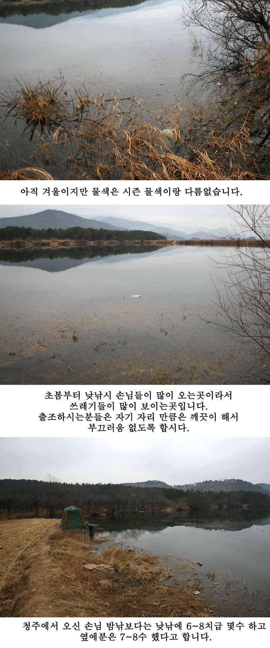 청도권 물낚시 시즌 오픈 (조황조행기 - 특파원조황)