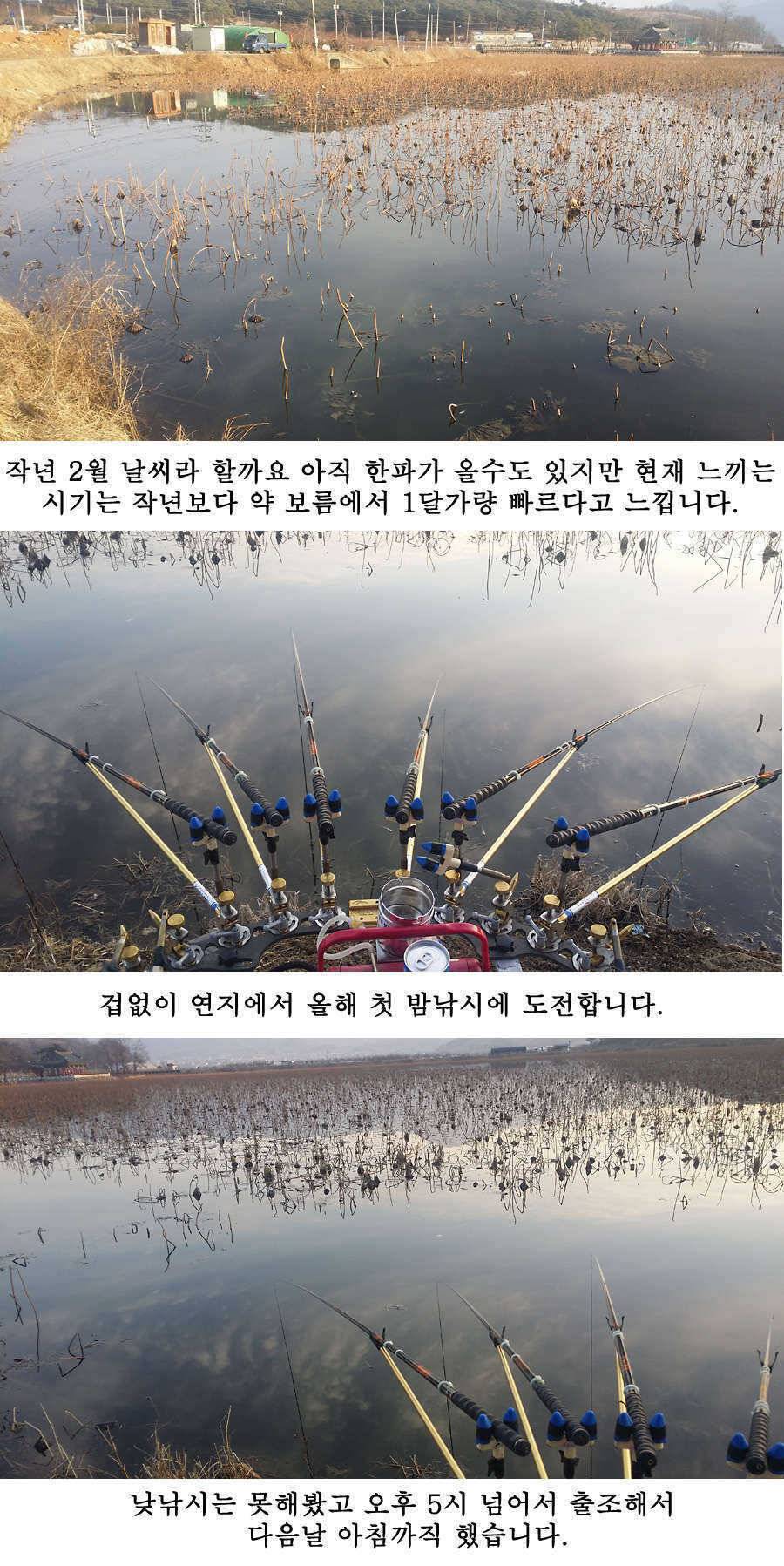 청도권 물낚시 시즌 오픈 (조황조행기 - 특파원조황)