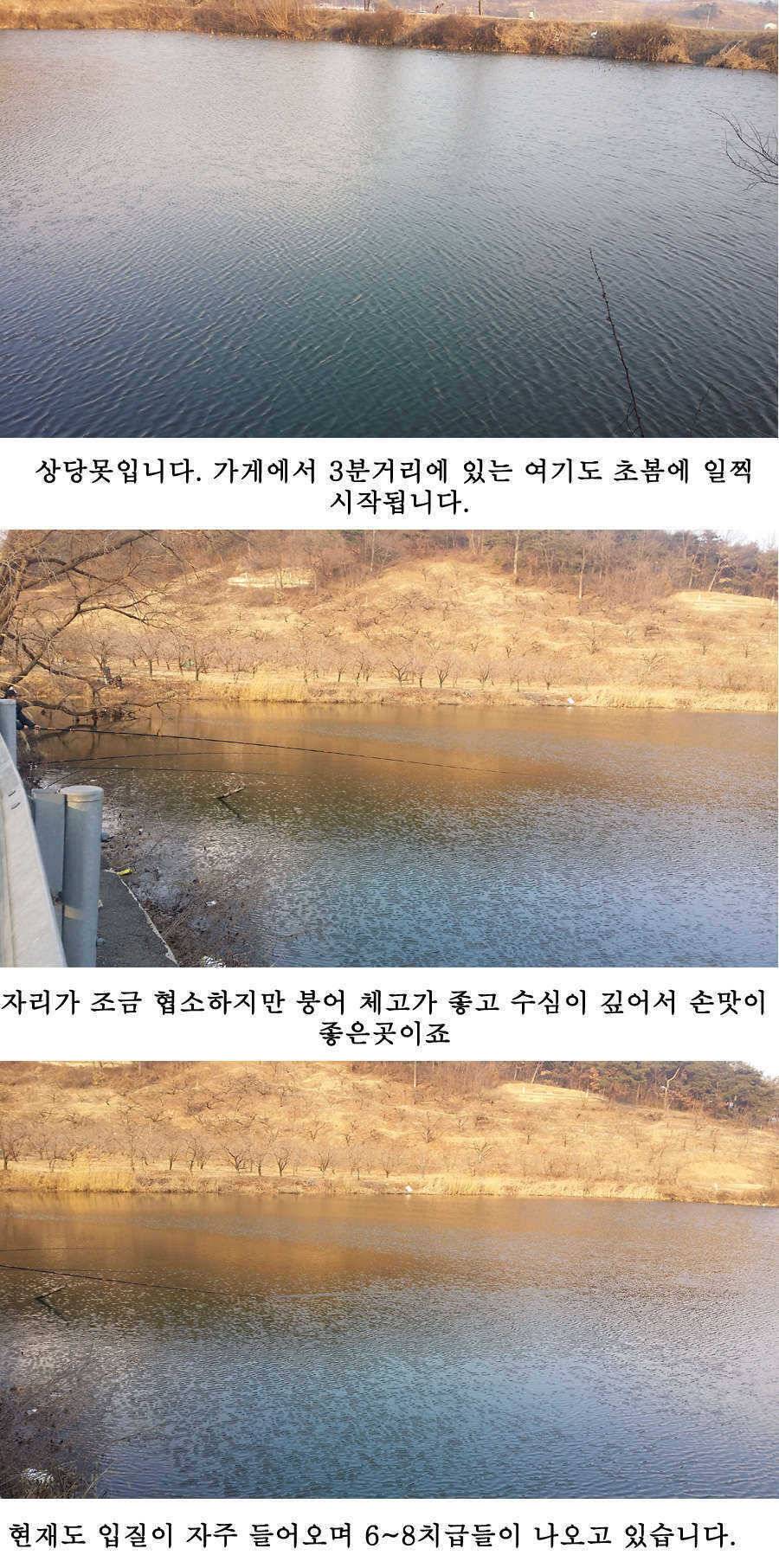 청도권 물낚시 시즌 오픈 (조황조행기 - 특파원조황)