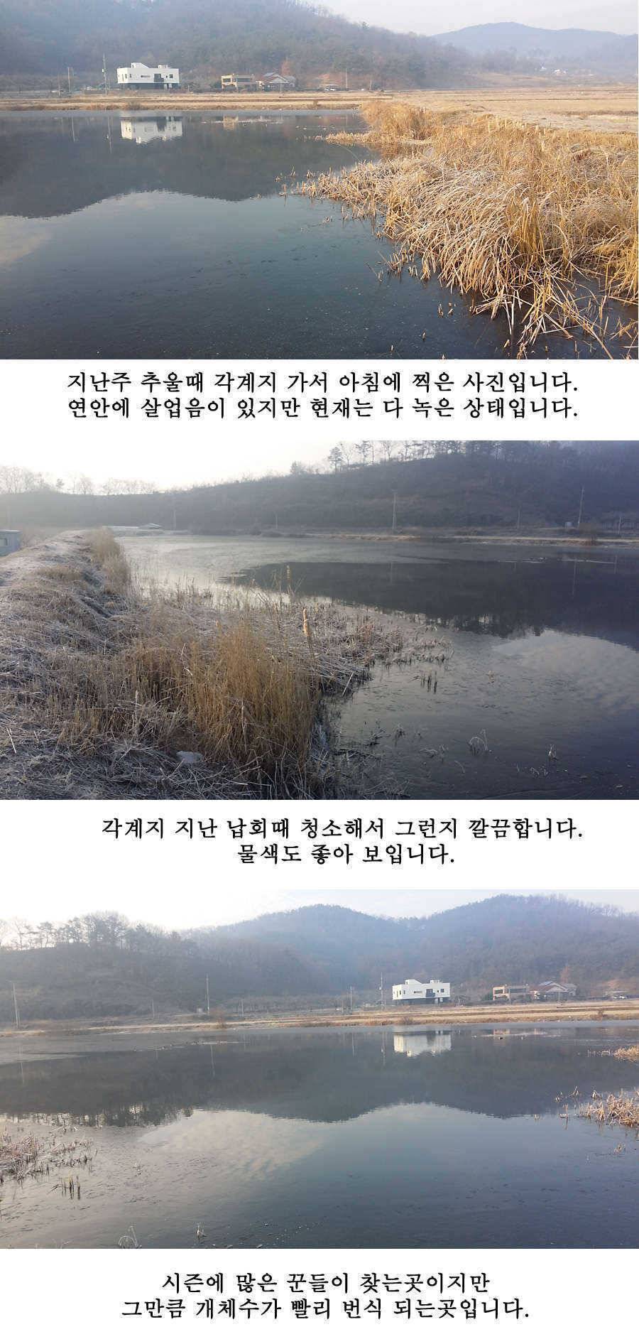 청도권 물낚시 시즌 오픈 (조황조행기 - 특파원조황)