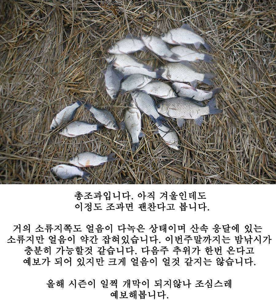 청도권 물낚시 시즌 오픈 (조황조행기 - 특파원조황)