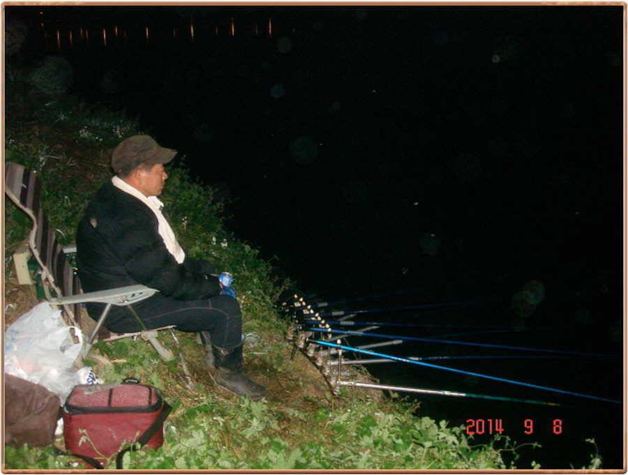 진위천 조황 소식 (조황조행기 - 특파원조황)