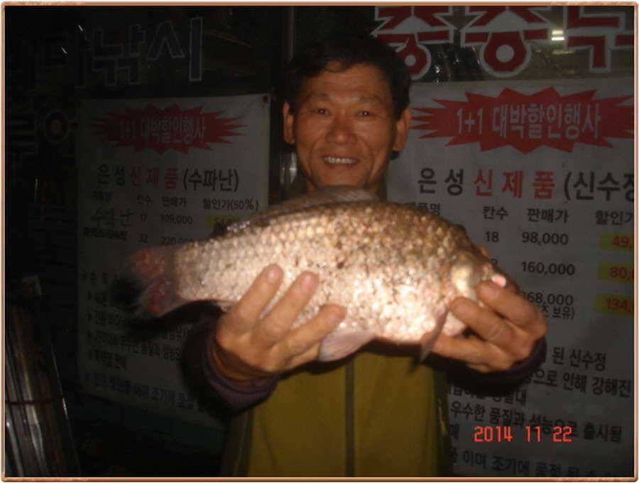 진위천 주말 소식 (조황조행기 - 특파원조황)