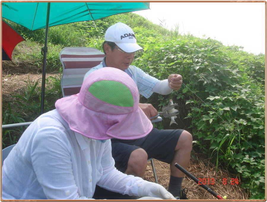 진위천 조황소식 (조황조행기 - 특파원조황)