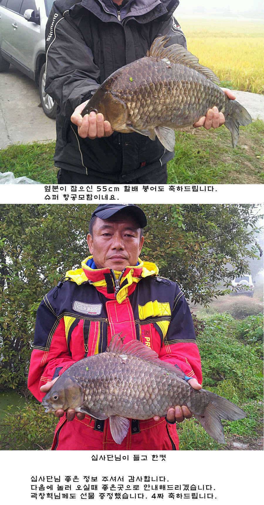 청도권 42cm 추석 연휴및 주중 조황 (조황조행기 - 특파원조황)