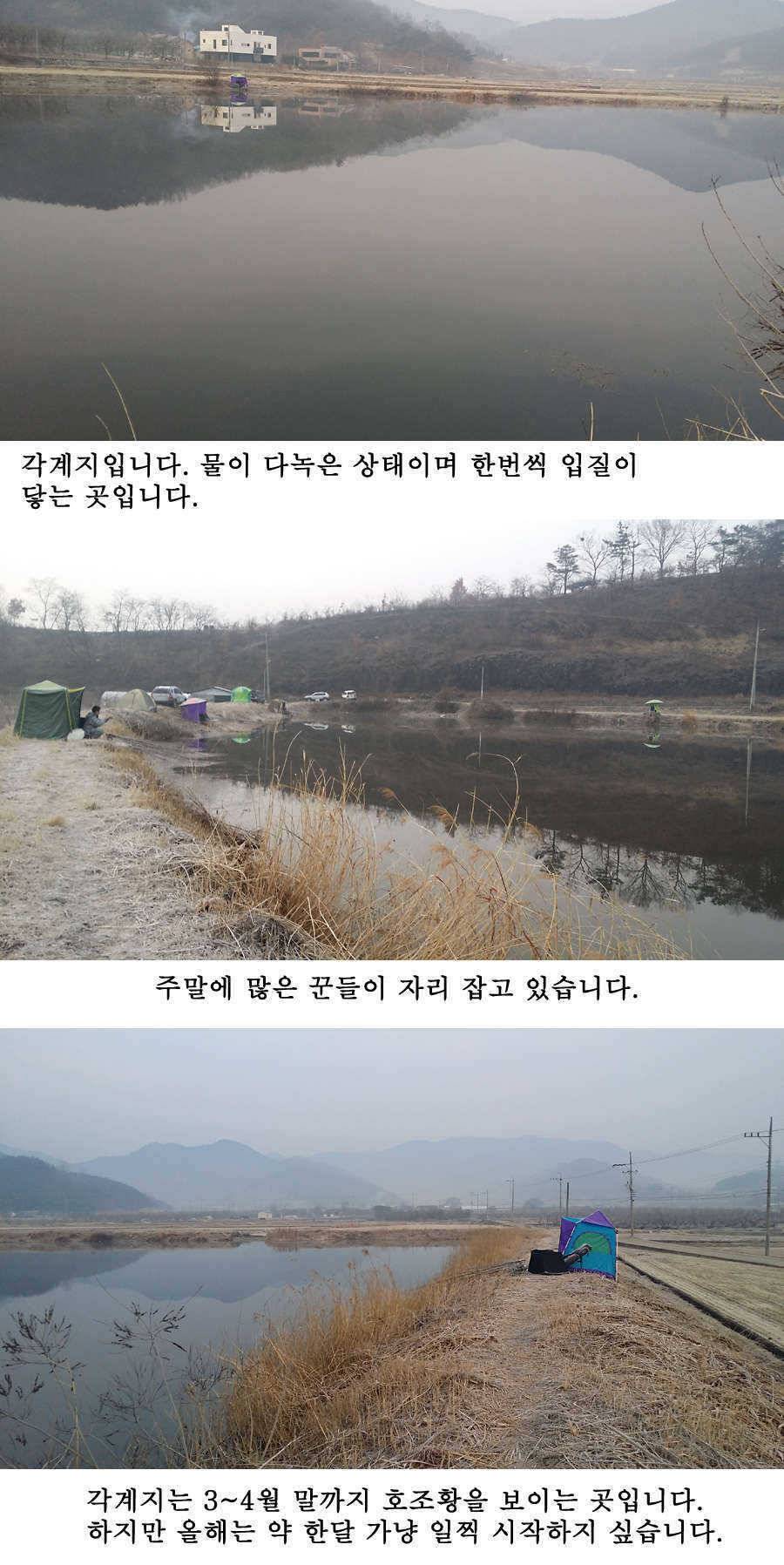청도권 주말조황 시즌못지않네요 (조황조행기 - 특파원조황)