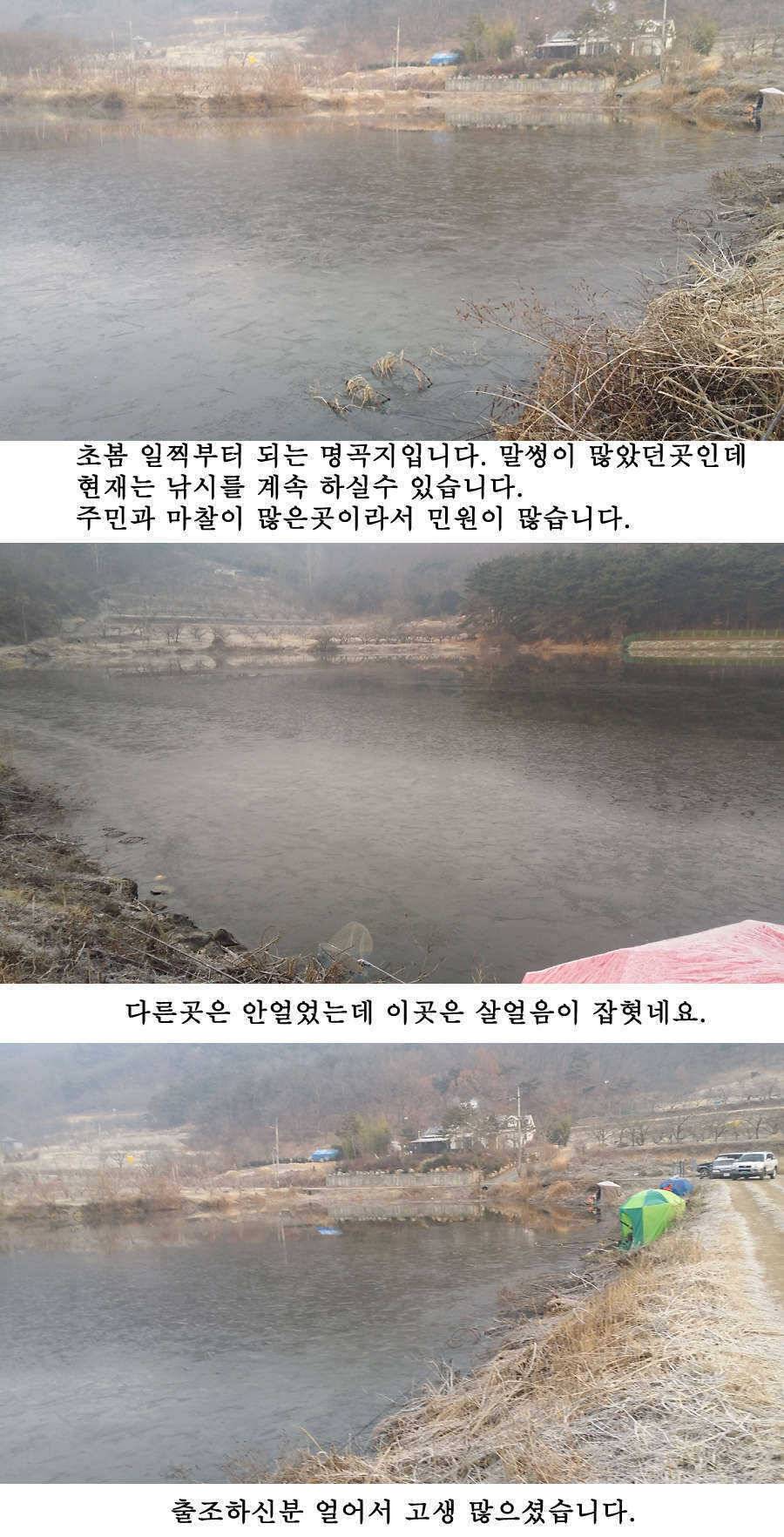 청도권 주말조황 시즌못지않네요 (조황조행기 - 특파원조황)