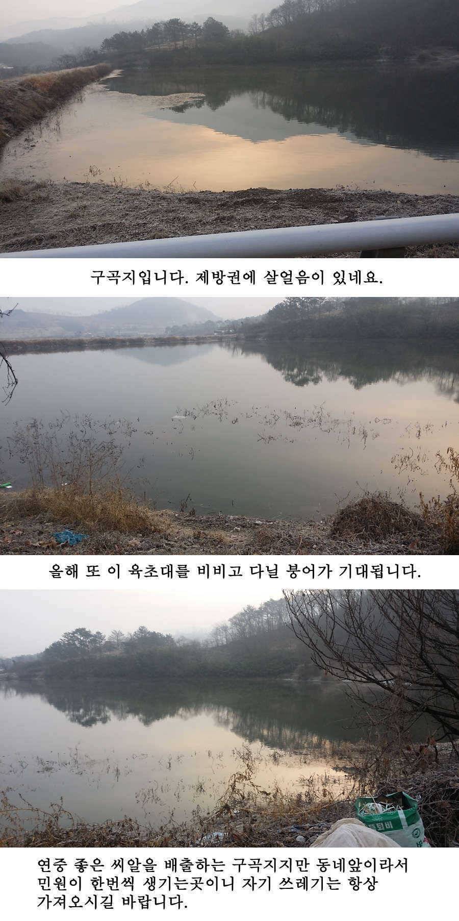 청도권 주말조황 시즌못지않네요 (조황조행기 - 특파원조황)