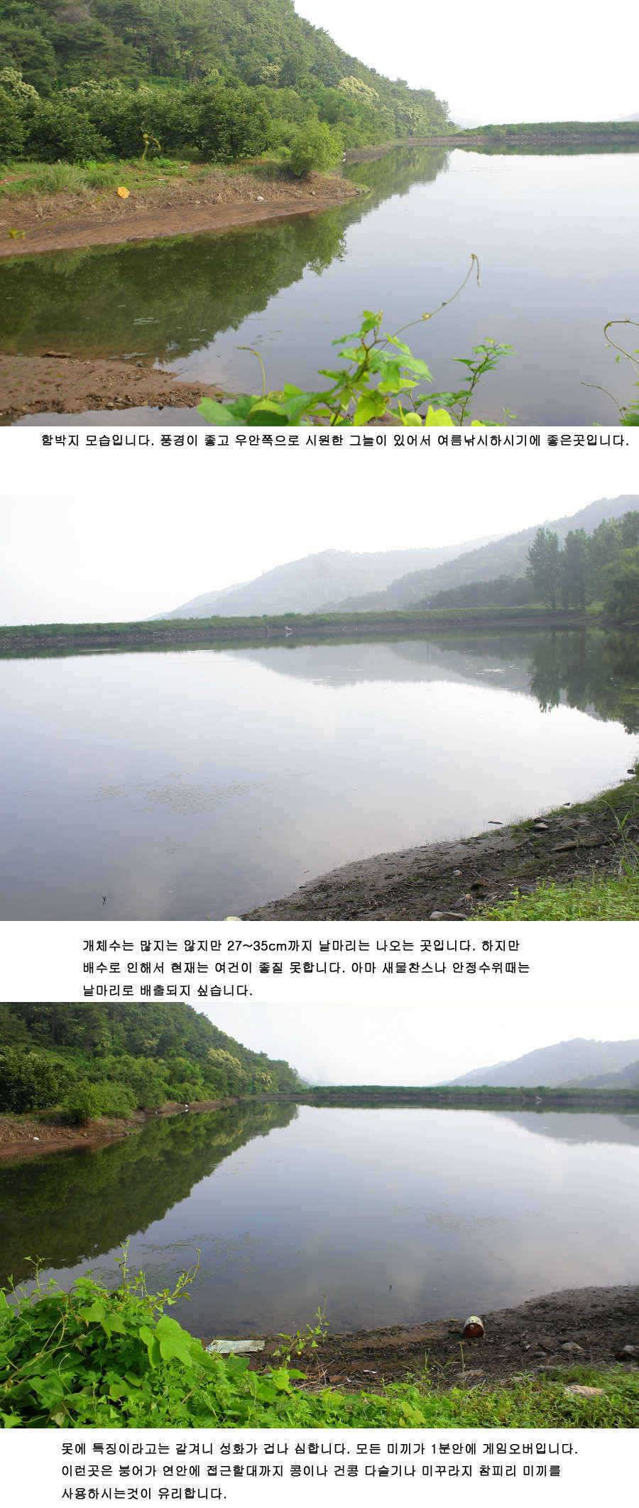 청도권 주말 조황 대박 (조황조행기 - 특파원조황)