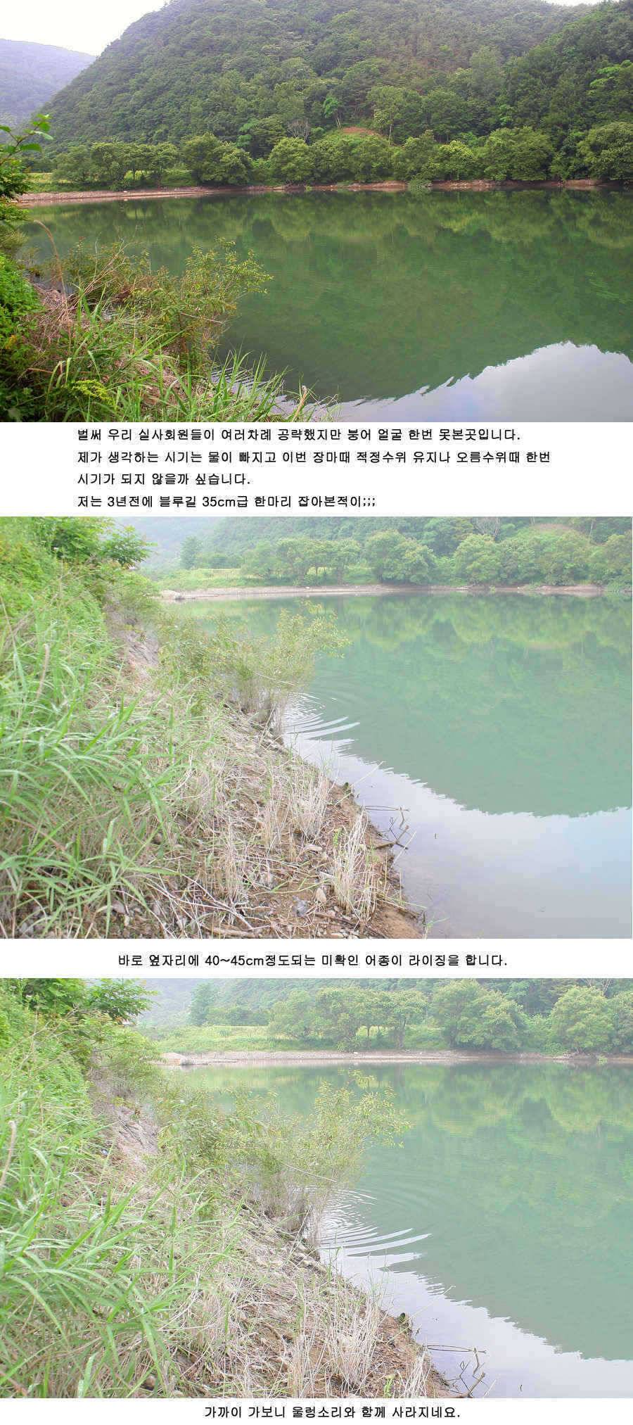 청도권 주말 조황 대박 (조황조행기 - 특파원조황)