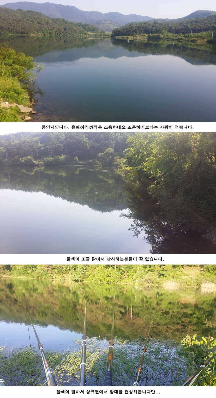 지난주와 이번주 청도권 조황 (조황조행기 - 특파원조황)