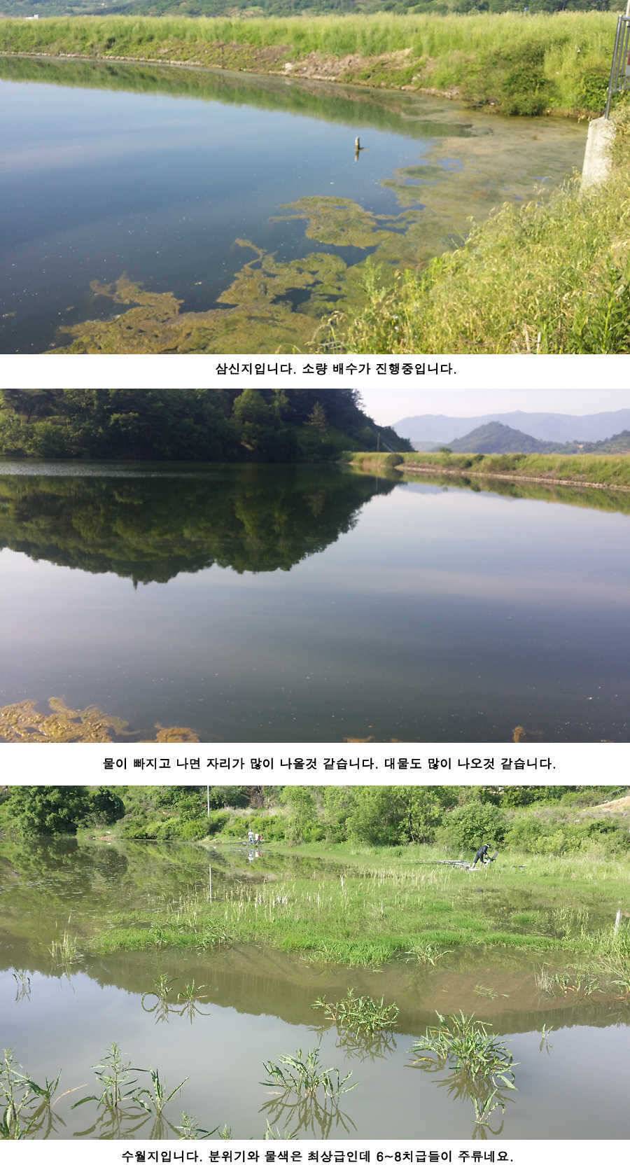 지난주와 이번주 청도권 조황 (조황조행기 - 특파원조황)