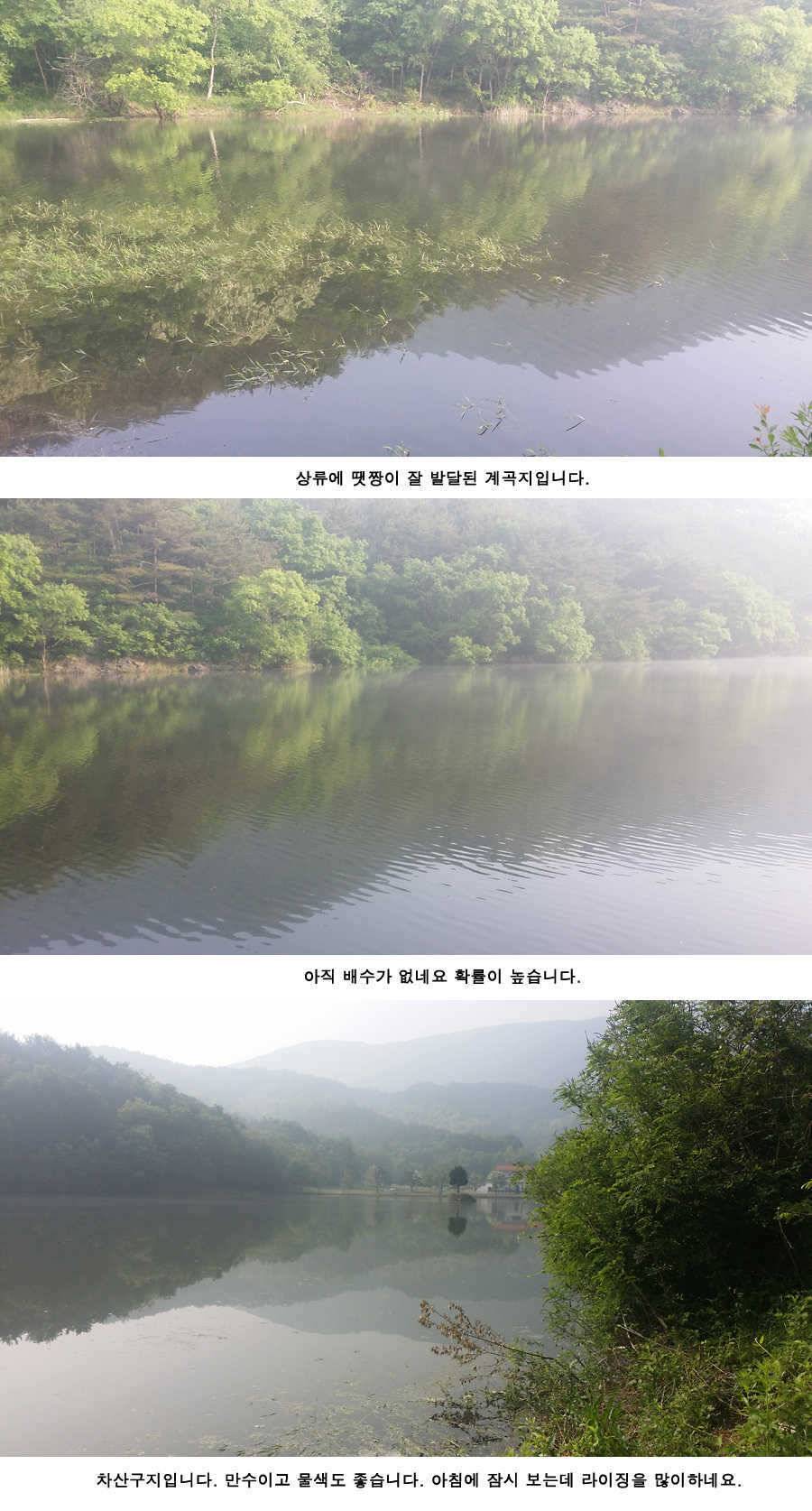 지난주와 이번주 청도권 조황 (조황조행기 - 특파원조황)