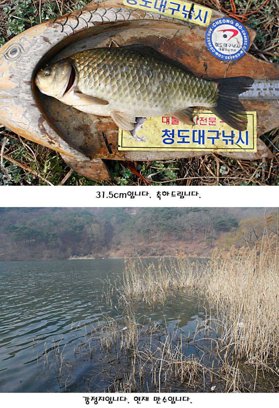 청도권 빵빵 터집니다 (조황조행기 - 특파원조황)