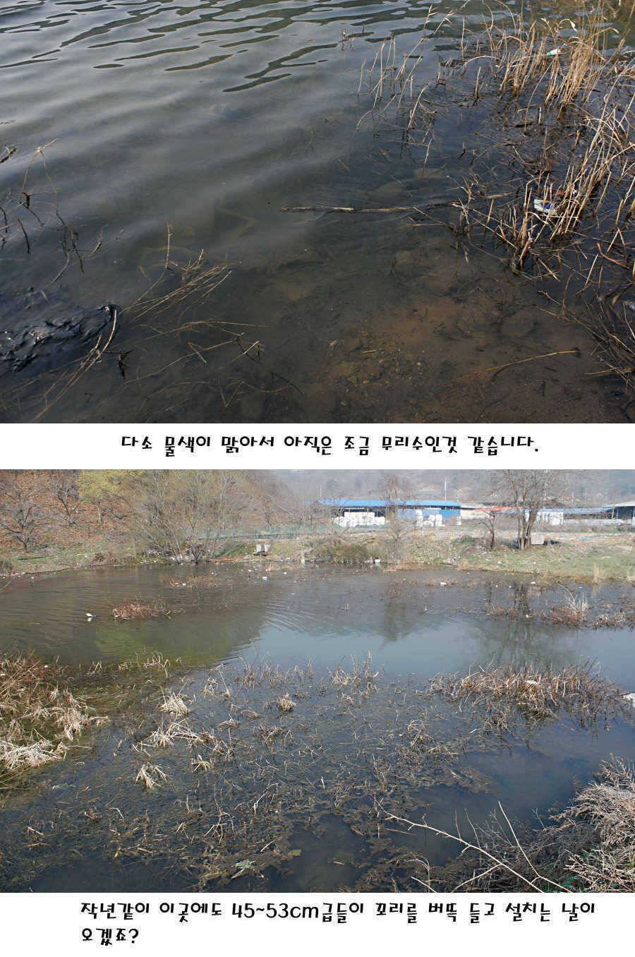 청도권 빵빵 터집니다 (조황조행기 - 특파원조황)