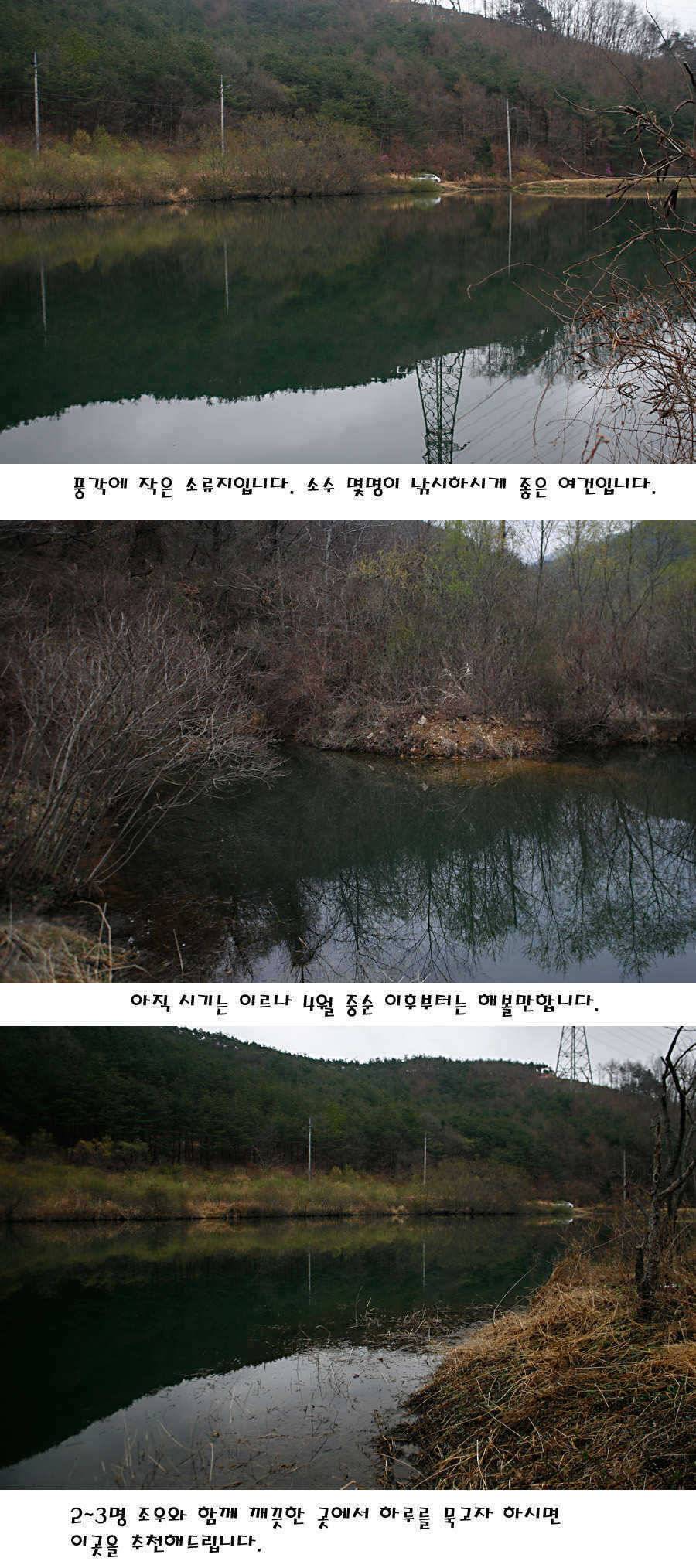청도권 산란 찬스 발동 (조황조행기 - 특파원조황)