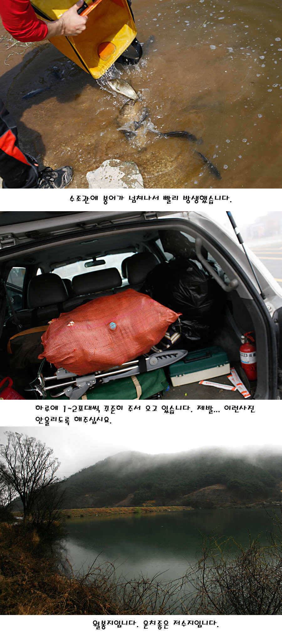 청도권 산란 찬스 발동 (조황조행기 - 특파원조황)