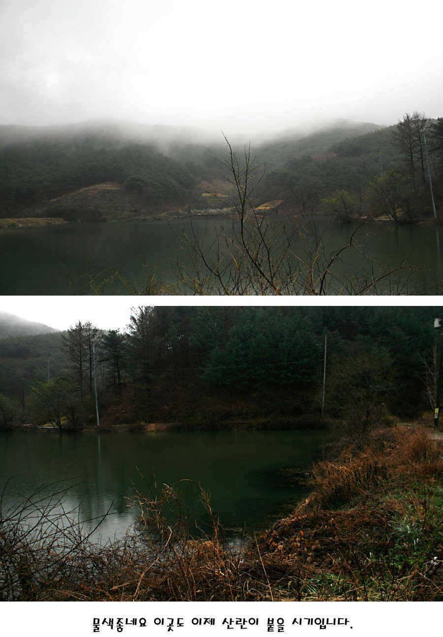 청도권 산란 찬스 발동 (조황조행기 - 특파원조황)