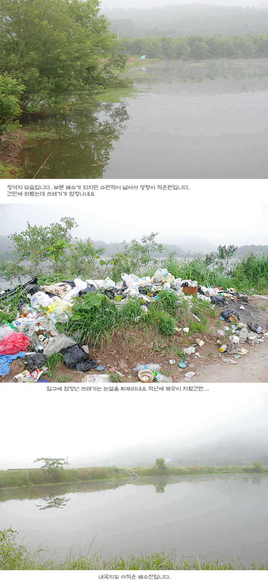 청도권 주말 주중 조황 (조황조행기 - 특파원조황)
