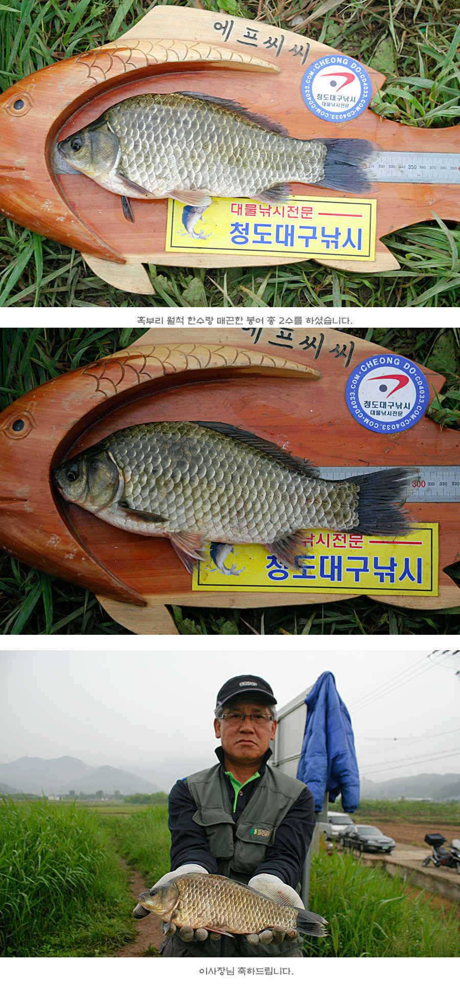 청도권 주말 주중 조황 (조황조행기 - 특파원조황)
