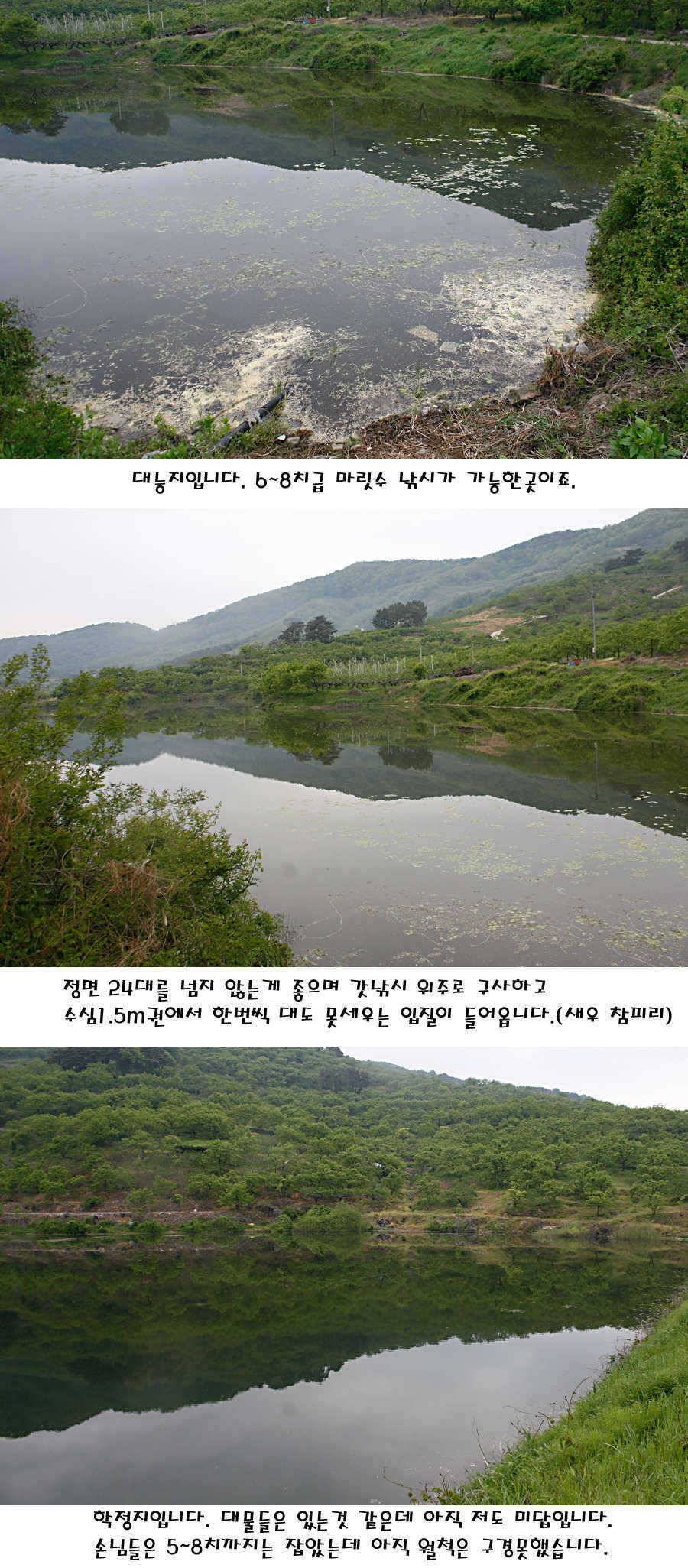 청도권 지난주 조황정보 (조황조행기 - 특파원조황)