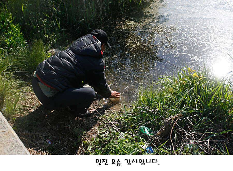 청도권 지난주 조황정보 (조황조행기 - 특파원조황)