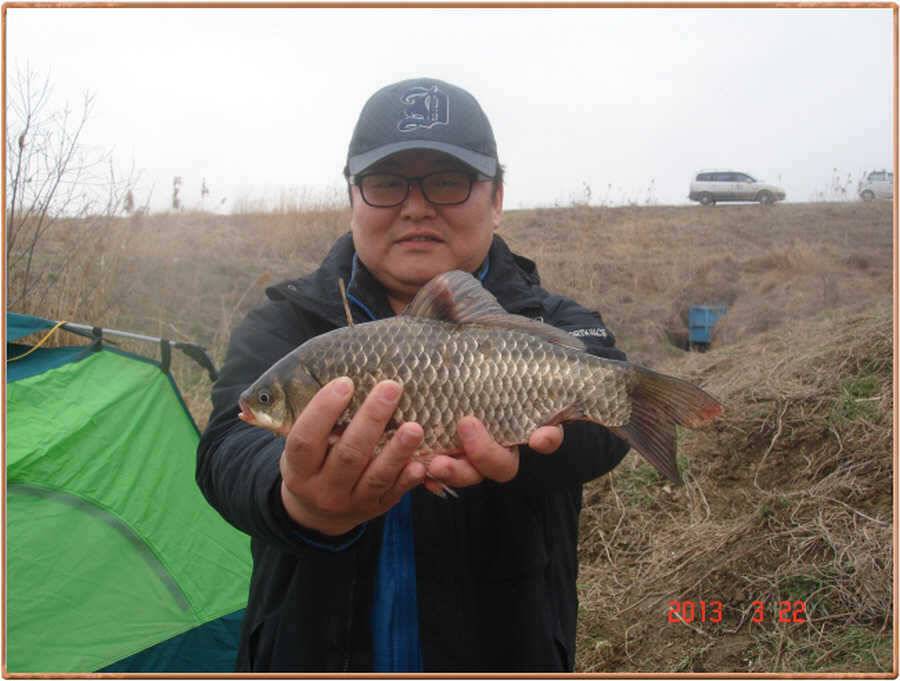 진위천 조황 소식 (조황조행기 - 특파원조황)
