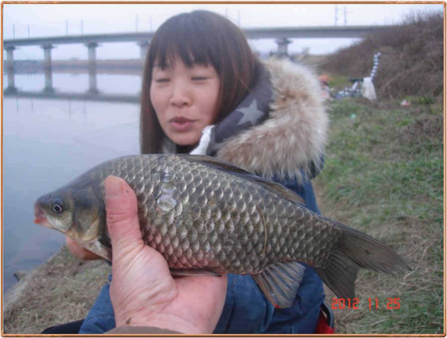 진위천 주말 조황 (조황조행기 - 특파원조황)