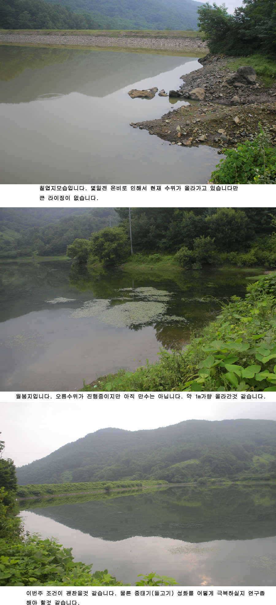 청도권 주중 조황 (조황조행기 - 특파원조황)