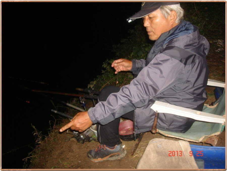 진위천 조황 소식 (조황조행기 - 특파원조황)