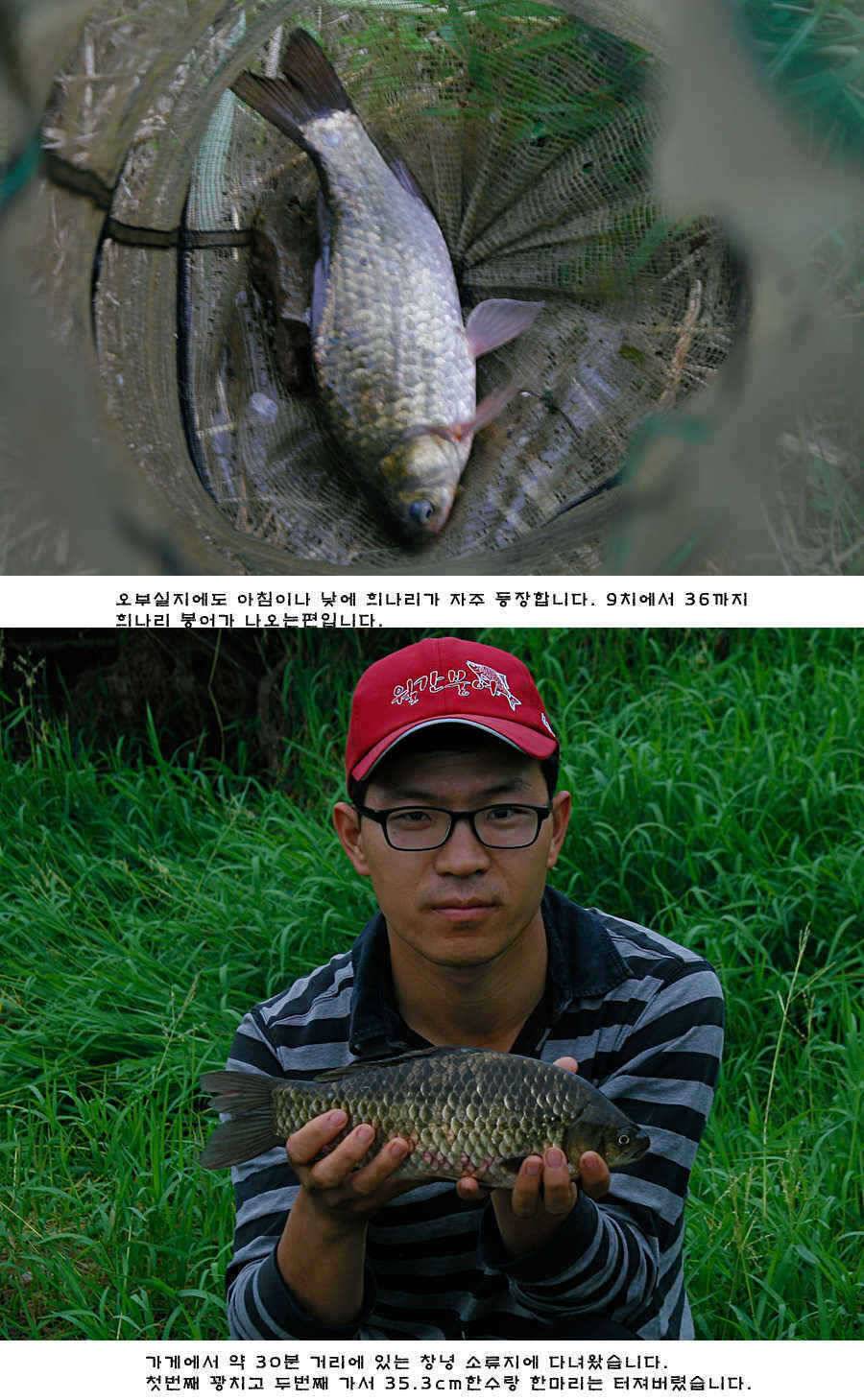 청도권 주중 조황정보 (조황조행기 - 특파원조황)