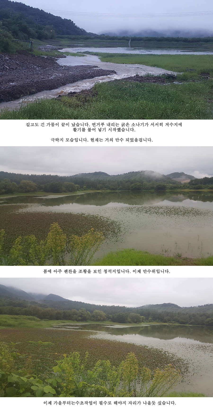 청도권 가뭄 끝 오름수위 (조황조행기 - 특파원조황)