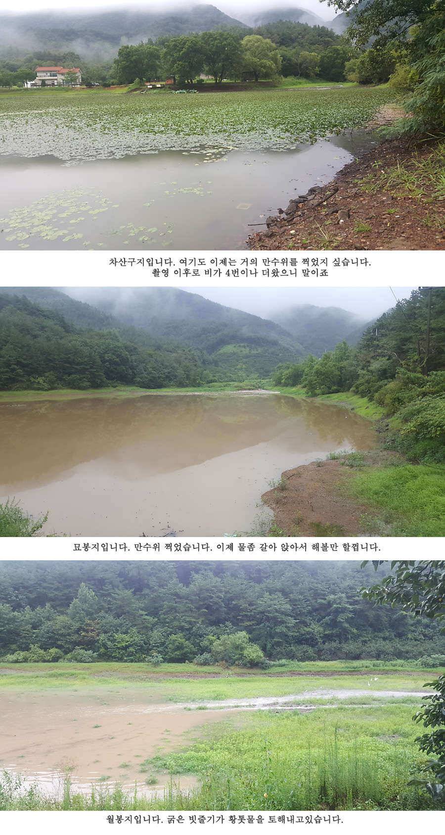 청도권 가뭄 끝 오름수위 (조황조행기 - 특파원조황)