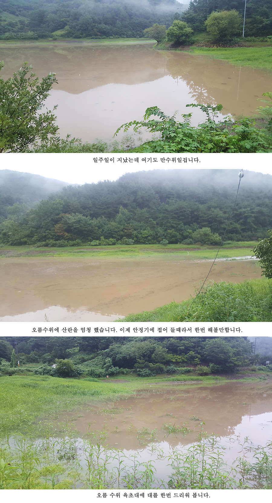 청도권 가뭄 끝 오름수위 (조황조행기 - 특파원조황)