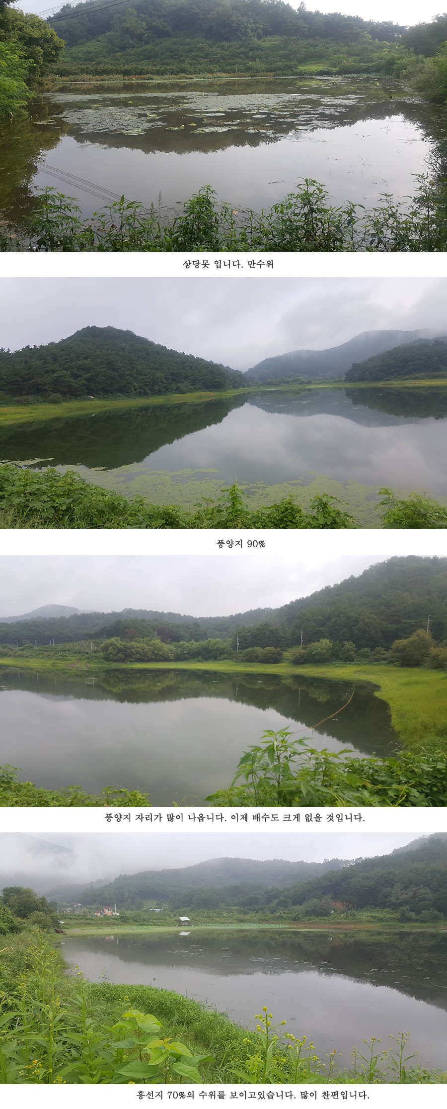 청도권 가뭄 끝 오름수위 (조황조행기 - 특파원조황)