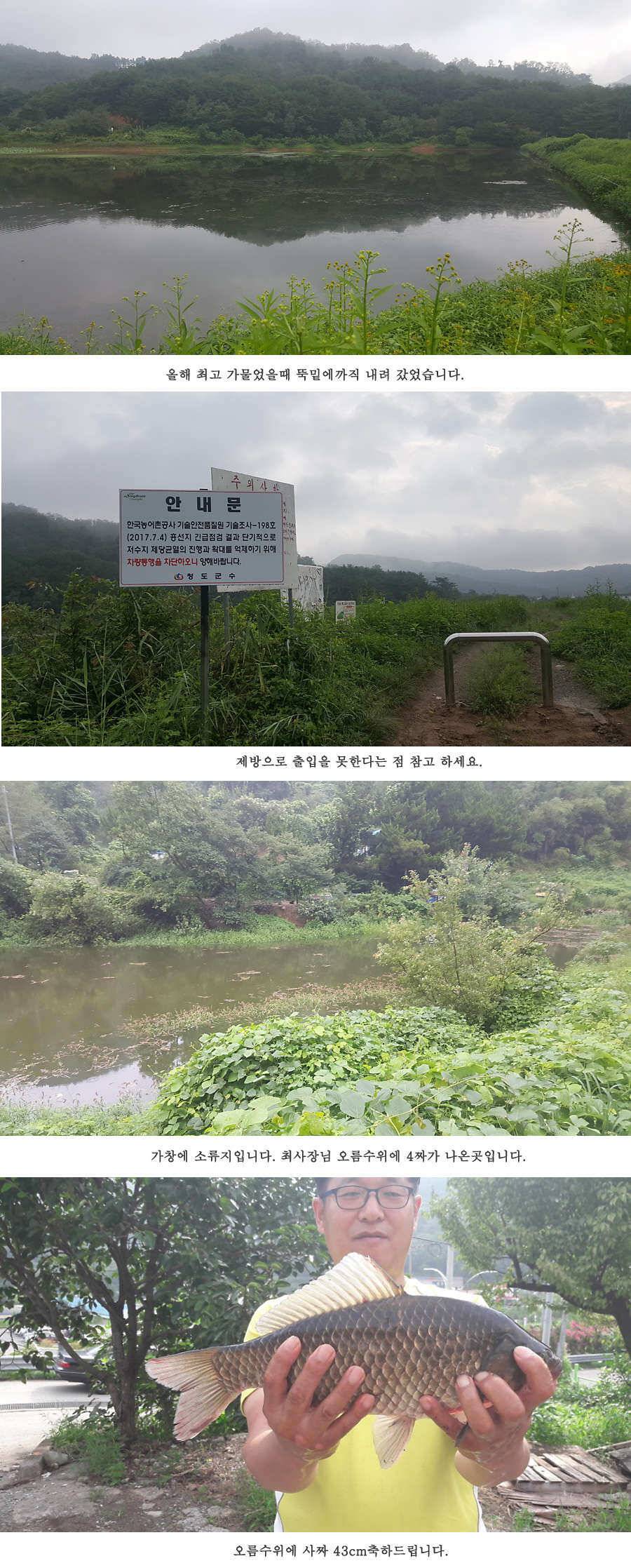 청도권 가뭄 끝 오름수위 (조황조행기 - 특파원조황)