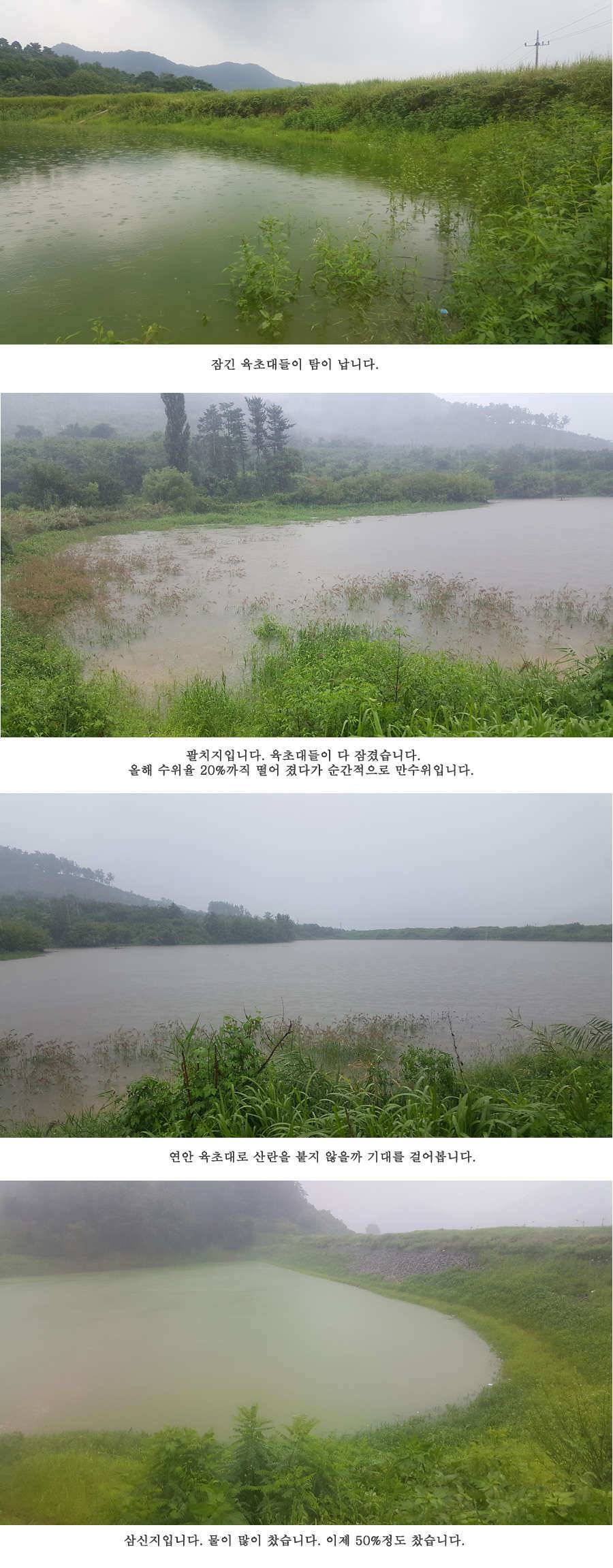 청도권 가뭄 끝 오름수위 (조황조행기 - 특파원조황)