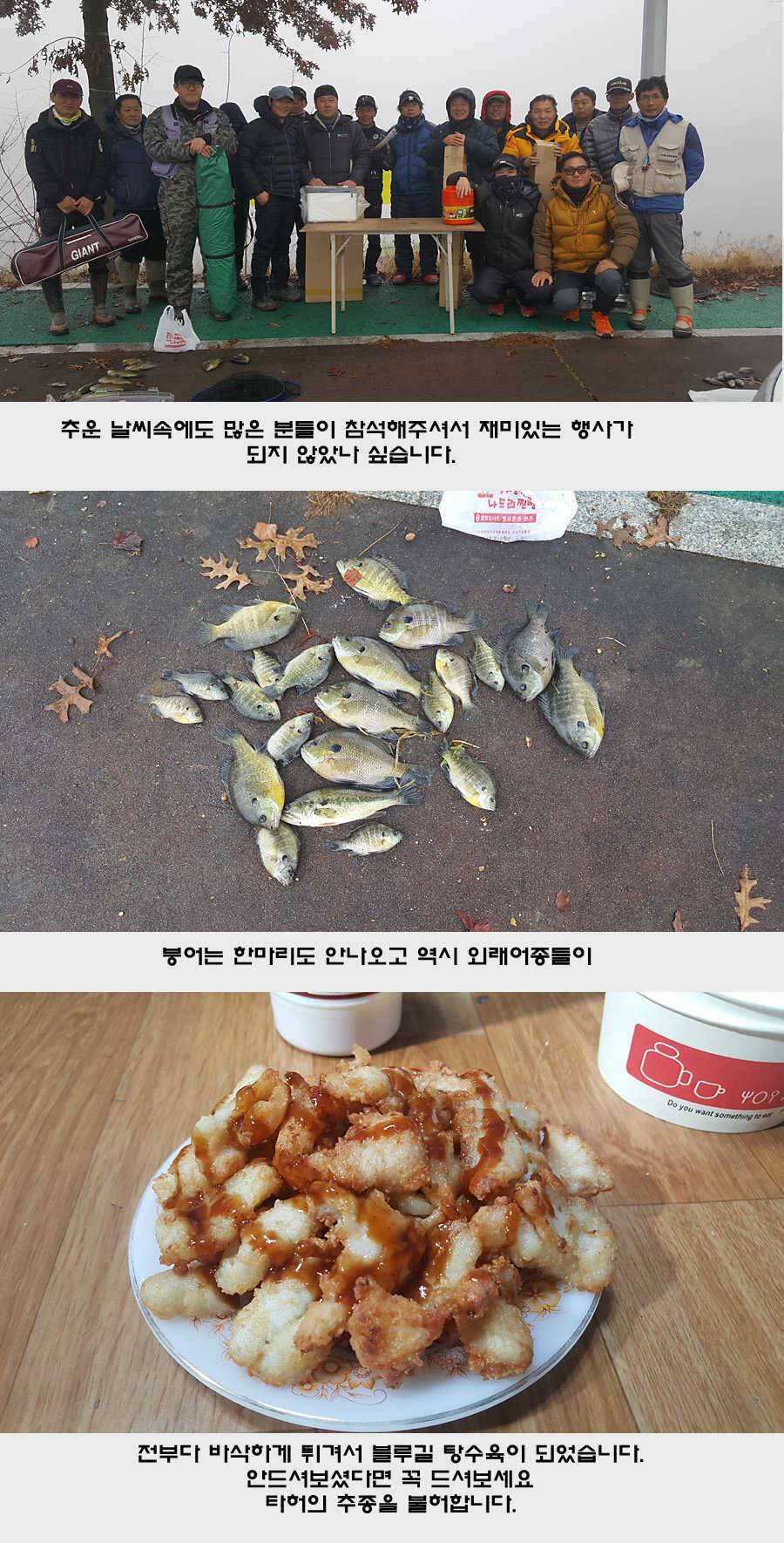2017년 청도권 첫월척 조황 (조황조행기 - 특파원조황)