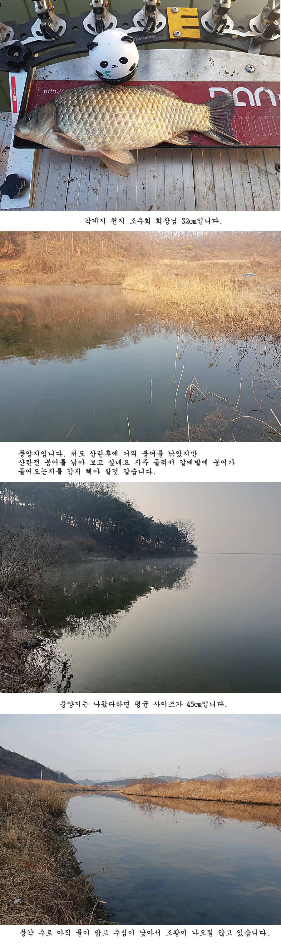 청도권 벌써 40 422 462cm들이 (조황조행기 - 특파원조황)