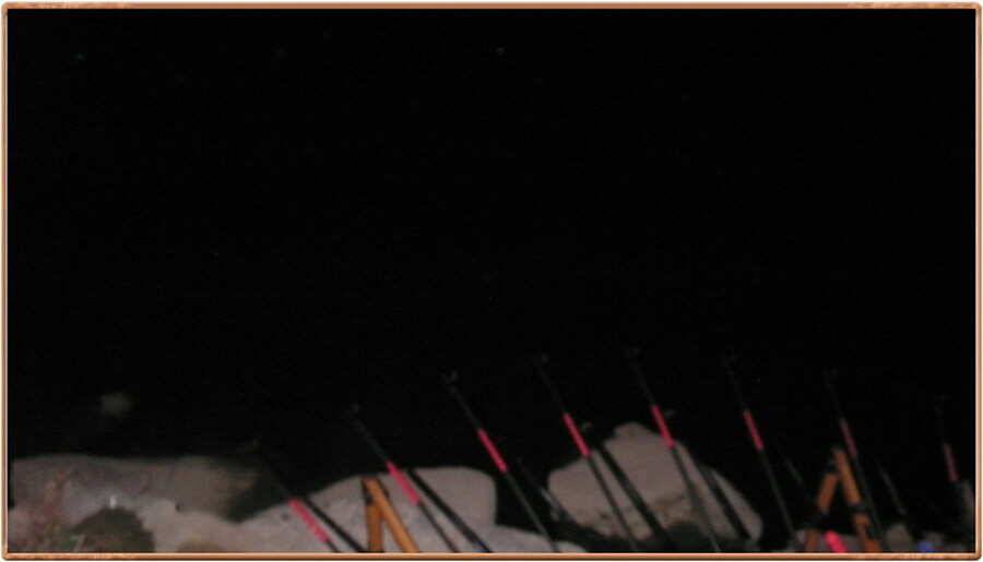 pro_johwang_2ce22_062451_65344.jpg