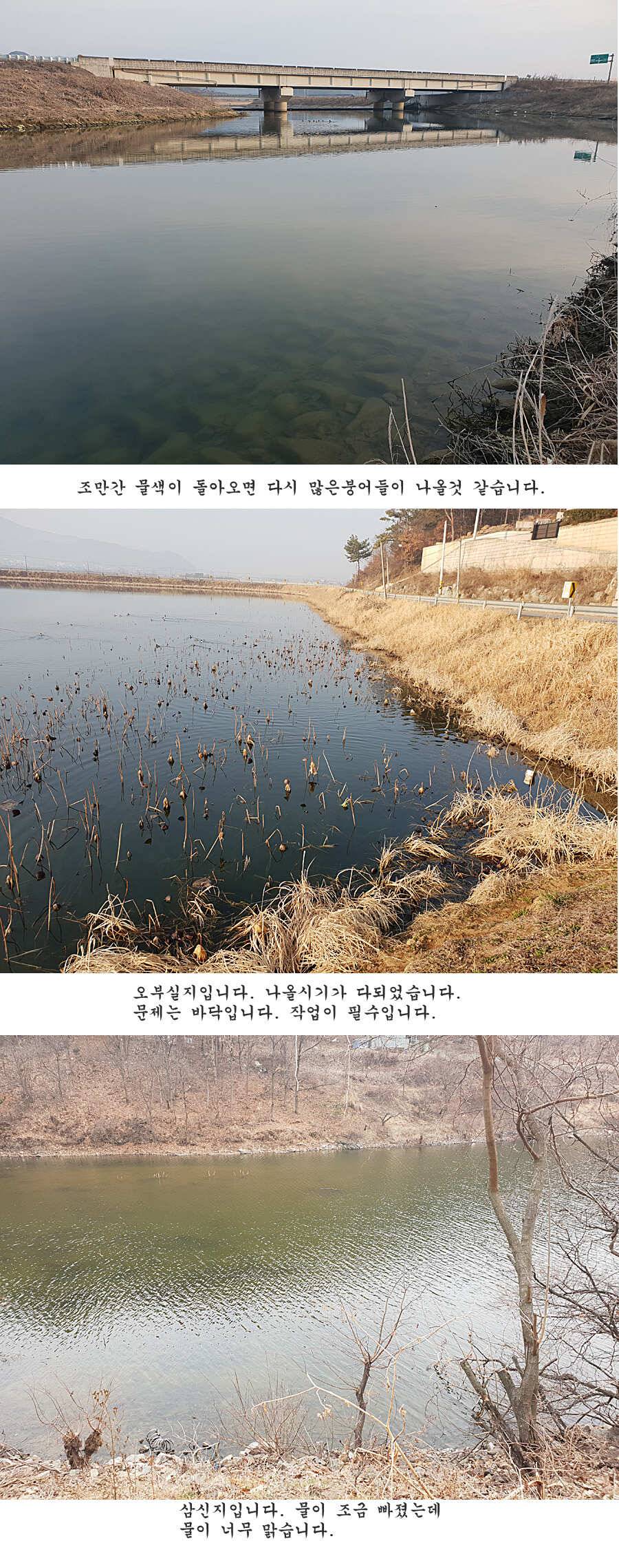 청도권 벌써 40 422 462cm들이 (조황조행기 - 특파원조황)