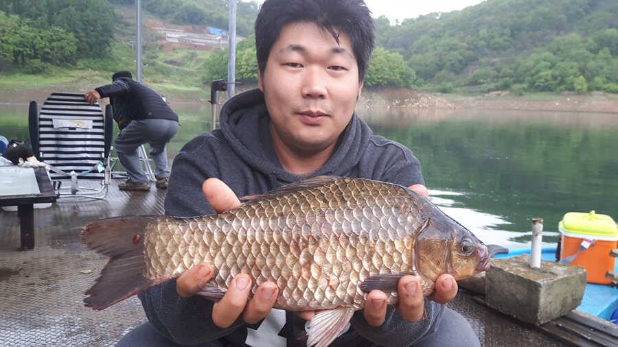 목벌낚시터 올 시즌들어 첯 4짜 대물붕어 소식 (조황조행기 - 특파원조황)
