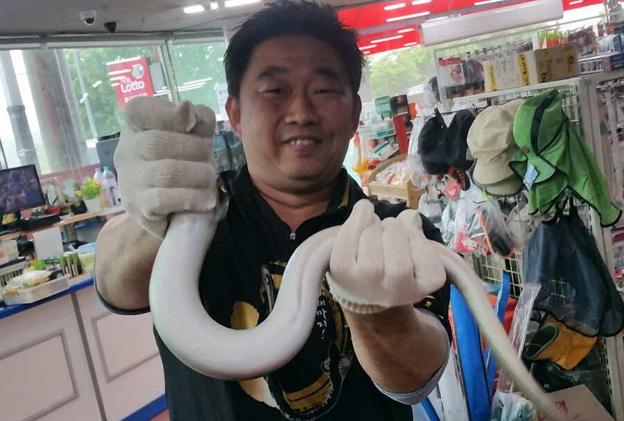 하천 허리급 붕어조황 이정수님 키로급장어 소식 (조황조행기 - 특파원조황)