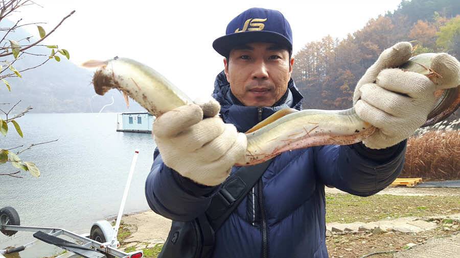 목벌 월척붕어 장어조황 소식입니다 (조황조행기 - 특파원조황)