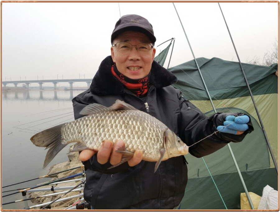 진위천 조황 소식 (조황조행기 - 특파원조황)