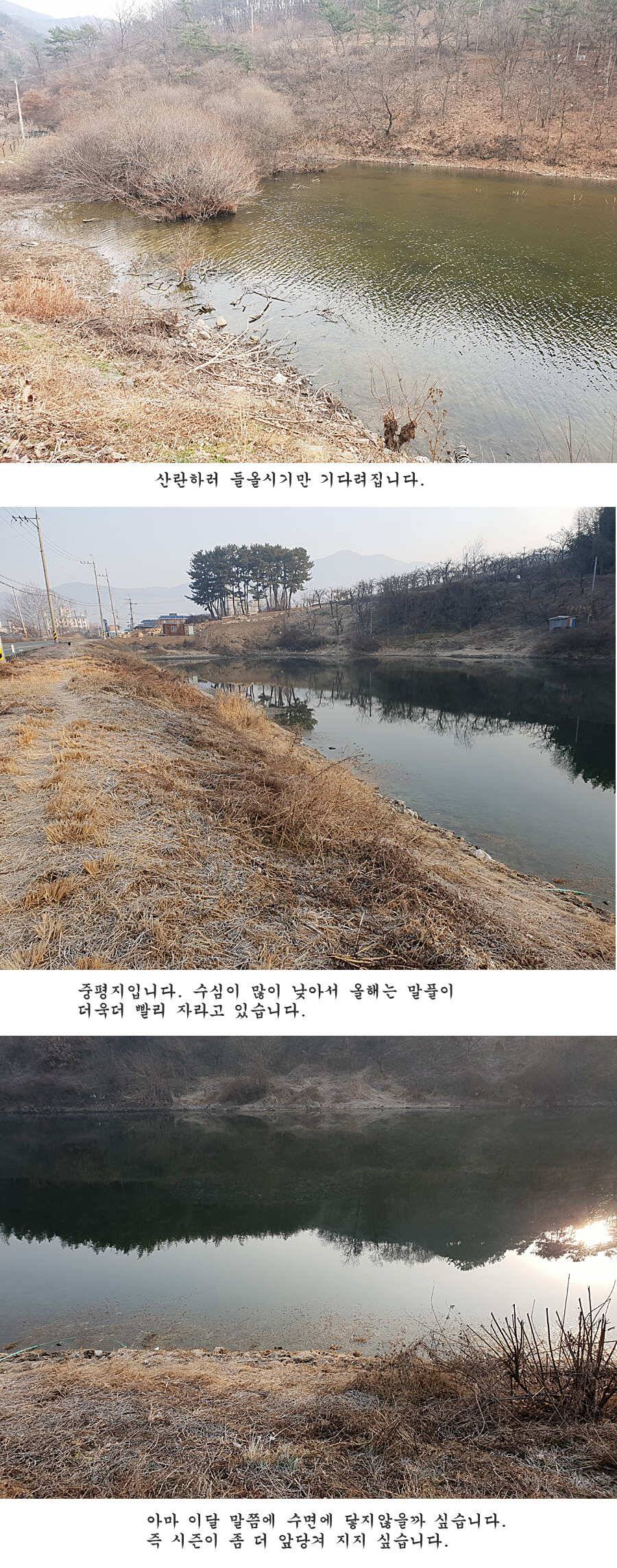 청도권 벌써 40 422 462cm들이 (조황조행기 - 특파원조황)