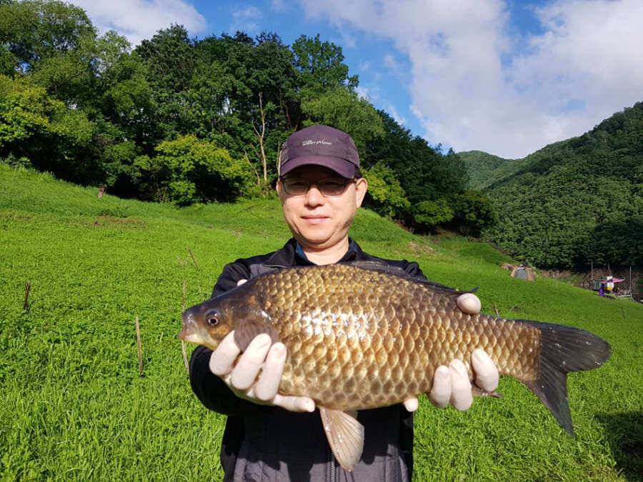 명서 455cm 대물에 변함없는 마릿수 조황 (조황조행기 - 특파원조황)