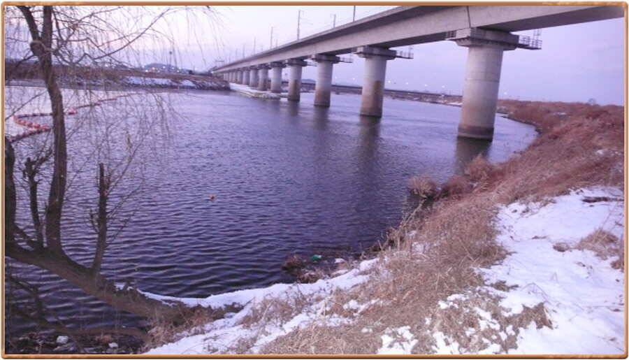 진위천 조황 소식 (조황조행기 - 특파원조황)