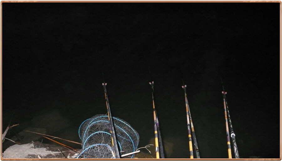 pro_johwang_ec82c_041407_53638.jpg